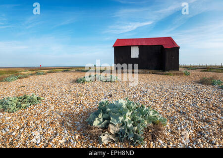 Il rosso capanna sulla spiaggia al porto di segale in East Sussex Foto Stock