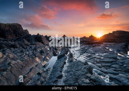 Il robusto North Devon Coast a Hartland Quay vicino a Bideford Foto Stock