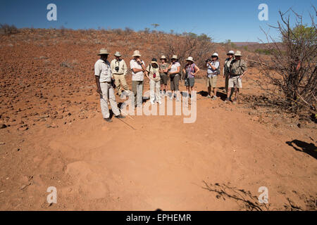 Africa, Namibia. Escursione di un giorno il monitoraggio del deserto rinoceronte nero. Gli escursionisti a piedi Foto Stock