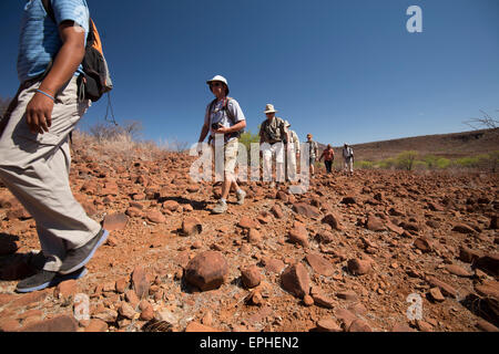 Africa, Namibia. Escursione di un giorno il monitoraggio del deserto rinoceronte nero. Gli escursionisti a piedi Foto Stock