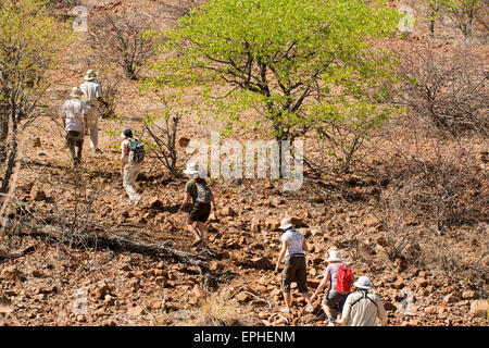 Africa, Namibia. Escursione di un giorno il monitoraggio del deserto rinoceronte nero. Gli escursionisti a piedi Foto Stock