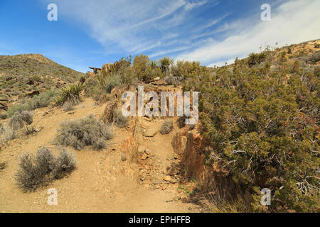 Una fotografia di una miniera test pit presi sul Lost Horse Mine Trail a Joshua Tree National Park, in California. Foto Stock