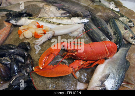 Una selezione di piatti a base di frutti di mare su una lastra di pescivendoli a St. Ives,Cornwall,UK,compresi i pesci e i crostacei.Un REGNO UNITO alimenti alimentari astice ostriche Foto Stock