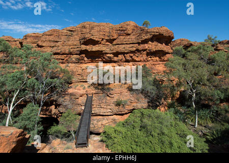 Australia, NT, Watarrka National Park. Kings Canyon, Rim a piedi. Ponte in legno sul gorge. Foto Stock