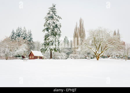 Raro pesante caduta di neve più in Vancouver, Dicembre 2008 Foto Stock
