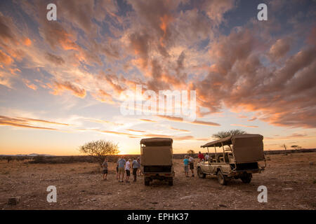 Africa, Namibia. Fondazione Africat. I turisti in piedi intorno mentre il sole tramonta. Foto Stock