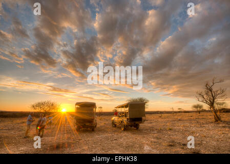 Africa, Namibia. Fondazione Africat. I turisti in piedi intorno mentre il sole tramonta. Foto Stock