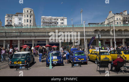 Brighton, Regno Unito. Il 17 maggio 2015. Il trentesimo London-Brighton Mini eseguire assembla lungo il lungomare di Brighton. Oltre 2000 autovetture terminato il rally e sono stati uniti da molti enti locali Mini appassionati. Credito: Chris Poole/Alamy Live News Foto Stock