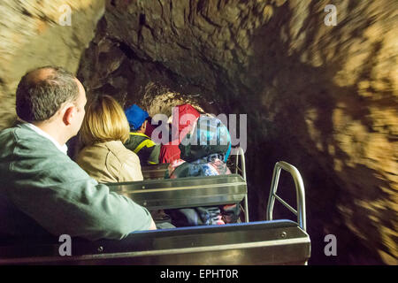 L'ingresso con un piccolo treno nelle grotte di Postumia. Foto Stock
