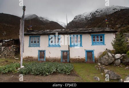 Una tipica casa nepalese, nella regione dell Everest Foto Stock