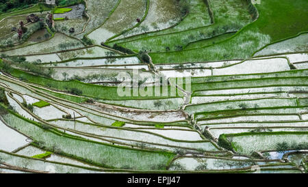 Incredibile texture astratta di terrazze di riso di campi con sky colorato riflesso nell'acqua. Ifugao provincia. Banaue, Filippine UNE Foto Stock
