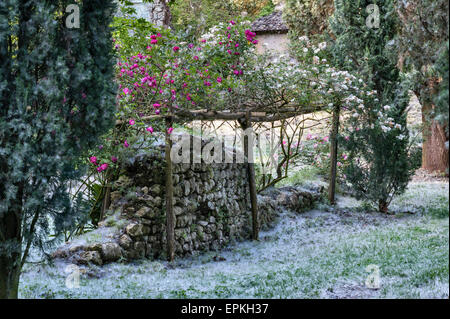 I giardini di Ninfa, Lazio, Italia. I semi di pioppo (populus) formare profonde derive sul terreno a inizio estate Foto Stock