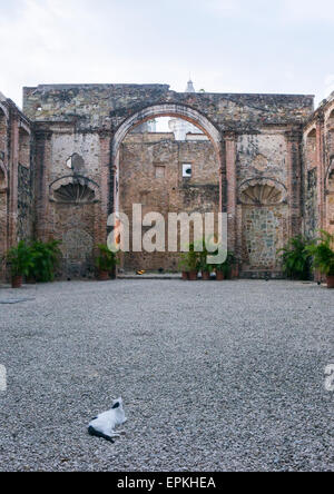 Panama, Provincia di Panama, Panama City, Rovine di concezione delle monache del convento del Panama Viejo Foto Stock