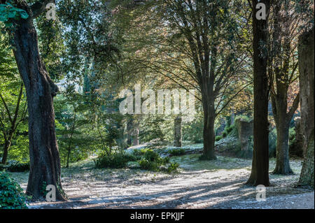 I romantici giardini di Ninfa, Lazio, Italia. I semi di pioppi (populus) formano profondi passi di neve sul terreno all'inizio dell'estate Foto Stock