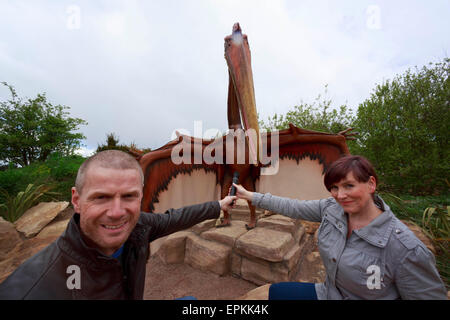 Edimburgo. Regno Unito. 19 Maggio, 2015. Il Boogie al mattino ospita radio sono venuta per ispezionare le bestie prima di aprire ufficialmente il primo RZSS Edinburgh Zoo notti dell'anno il 29 maggio . Credito: pak@ Mera/Alamy Live News Foto Stock