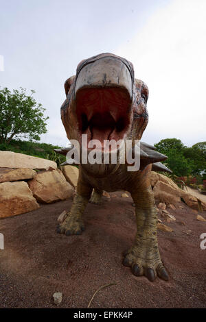 Edimburgo. Regno Unito. 19 Maggio, 2015. Il Boogie al mattino ospita radio sono venuta per ispezionare le bestie prima di aprire ufficialmente il primo RZSS Edinburgh Zoo notti dell'anno il 29 maggio . Credito: pak@ Mera/Alamy Live News Foto Stock