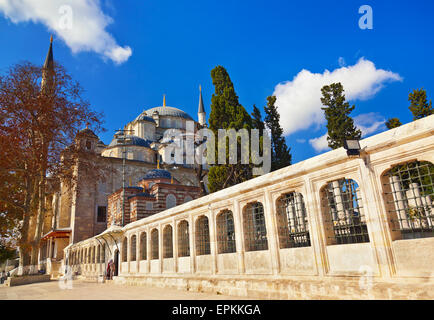 La Moschea Fatih di Istanbul in Turchia Foto Stock