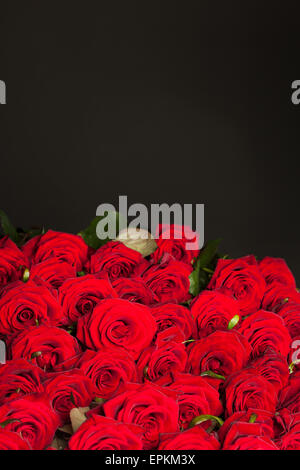 Molte rose rosse in shallow DOF Foto Stock