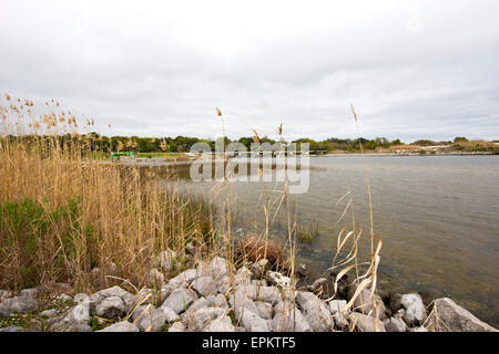 Lungo il litorale a Edicola Parco sulla baia di Pensacola Foto Stock