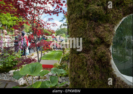 2015 RHS Chelsea Flower Show in apertura di giornata, Royal Hospital Chelsea, Londra, Regno Unito. 19 Maggio, 2015. Home: universo personale giardino da T's Garden Square, progettato da Fuminari Todaka, uno spazio privato per le famiglie con bambini. Credito: Malcolm Park editoriale/Alamy Live News Foto Stock