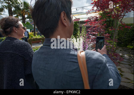 2015 RHS Chelsea Flower Show in apertura di giornata, Royal Hospital Chelsea, Londra, Regno Unito. 19 Maggio, 2015. Visitatori fotografia Home: universo personale giardino da T's Garden Square, progettato da Fuminari Todaka. Credito: Malcolm Park editoriale/Alamy Live News Foto Stock