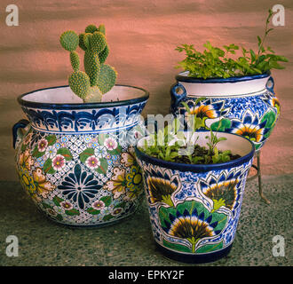 Messicano colorato Talavera piantatori in un patio esterno display Foto Stock