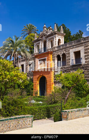 Real Alcazar Giardini a Siviglia Spagna Foto Stock