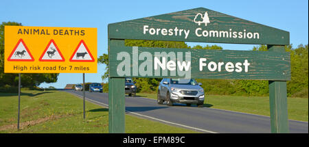 Nuova Foresta sign & traffico stradale segno attenzione agli automobilisti circa ad alto rischio di incidenti che coinvolgono free roaming pony & altri animali Inghilterra Hampshire REGNO UNITO Foto Stock