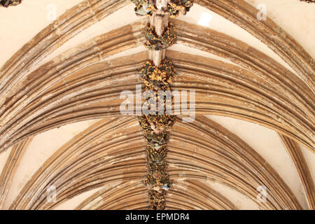 Misericord, faccia decorativa sul soffitto alto, Norwich Cathedral,Norfolk, Regno Unito Foto Stock