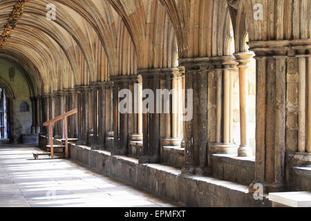I chiostri della Cattedrale di Norwich, pietra di calce costruita, Norwich, Norfolk, Regno Unito Foto Stock