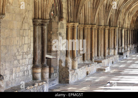 I chiostri della Cattedrale di Norwich, pietra di calce costruita, Norwich, Norfolk, Regno Unito Foto Stock
