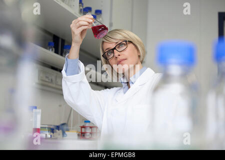 Scienziato holding matraccio di Erlenmeyer in laboratorio Foto Stock
