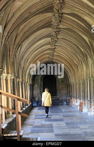 I chiostri della Cattedrale di Norwich, Lady Yellow Top Walking, Norwich, Norfolk, Regno Unito Foto Stock