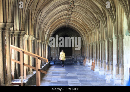 I chiostri della Cattedrale di Norwich, Lady Yellow Top Walking, Norwich, Norfolk, Regno Unito Foto Stock
