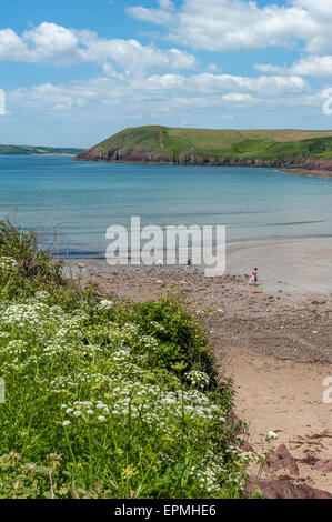 Manorbier Beach. Pembrokeshire. Il Galles. Cymru. Regno Unito. Regno Unito. Foto Stock