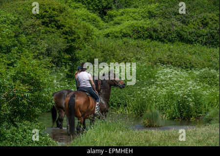 Equitazione a Manorbier. Pembrokeshire. Il Galles. Cymru. Regno Unito. Regno Unito Foto Stock