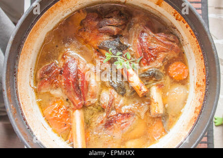 Uno stufato pieno di gustosi gambo di agnello, erbe aromatiche e carote Foto Stock