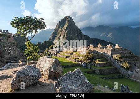 Machu Picchu, Ande, Valle Sacra, Perù Foto Stock