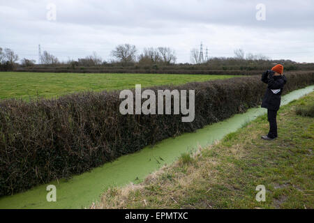 Donna birdwatching vicino reen sui livelli di Gwent vicino a Newport, South Wales, Regno Unito Foto Stock