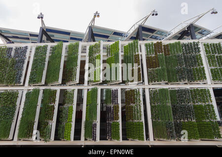 Milano, Italia, 5 maggio 2015. Dettaglio della fattoria verticale nel padiglione degli Stati Uniti d'America dell'architetto James Biber all'Expo 2015. Foto Stock