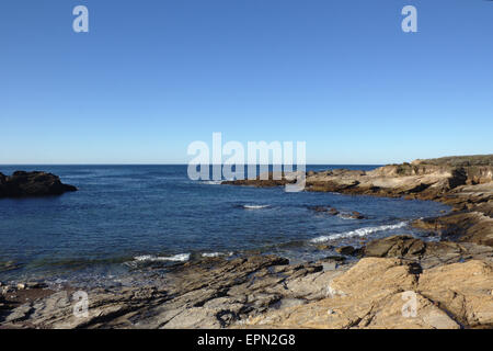 Una vista di Point Lobos State Reserve. Foto Stock