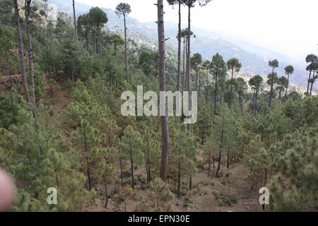 Belle scene Pakistan tribù Foto Stock