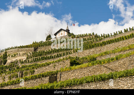 I vigneti di Uvrier, Vallese, Svizzera, Uvrier Foto Stock