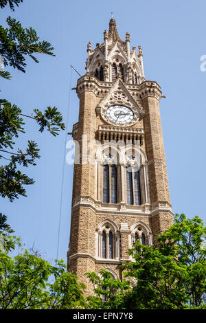 Mumbai India, Fort Mumbai, Kala Ghoda, Rajabai Clock Tower, stile gotico veneziano, Buff colorato, Kurla pietra colorata, Università di Mumbai, India150227164 Foto Stock