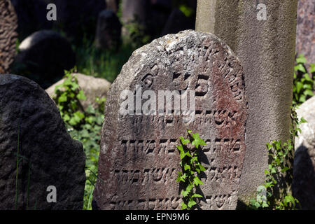 Vecchio Cimitero Ebreo a Trebic , Moravia Repubblica Ceca. Patrimonio UNESCO. Foto Stock