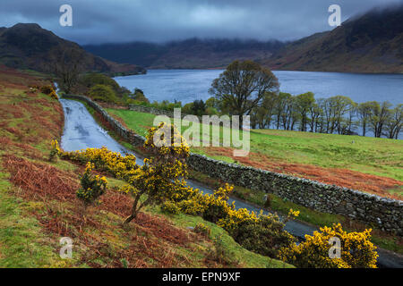 Paese vuoto Lane accanto a Crummock acqua su un umido e piovoso inizio mattina di primavera Foto Stock