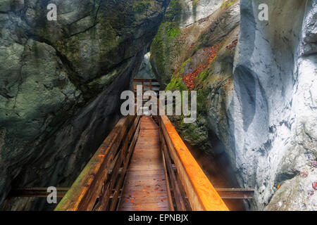 Il Boardwalk nella gola Seisenberg, Weißbach stream, vicino a Lofer, Zell am See District, Stato di Salisburgo, Austria Foto Stock