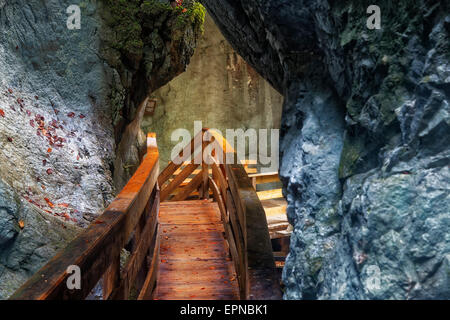 Il Boardwalk nella gola Seisenberg, Weißbach stream, vicino a Lofer, Zell am See District, Stato di Salisburgo, Austria Foto Stock