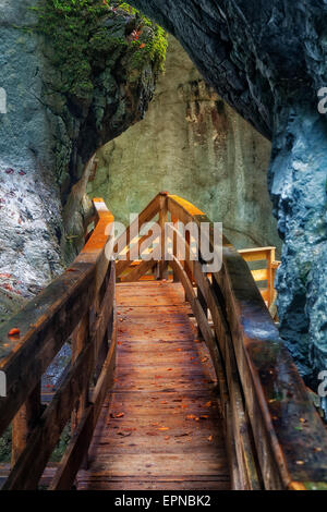 Il Boardwalk nella gola Seisenberg, Weißbach stream, vicino a Lofer, Zell am See District, Stato di Salisburgo, Austria Foto Stock