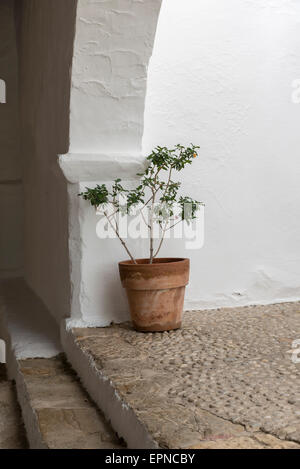 Dettagli architettonici della chiesa di Santa Eulalia del Rio, Ibiza Foto Stock